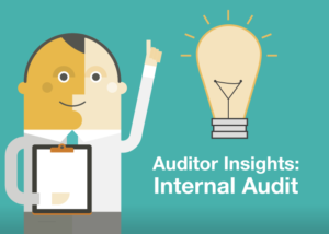 Auditor Insights: Day-to-Day Operations of Internal Audit