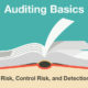 Auditing Basics: Audit Risk, Control Risk, and Detection Risk
