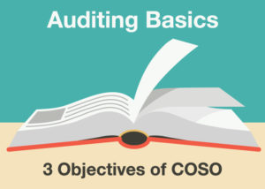 3 Objectives of COSO