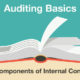 5 Components of Internal Control